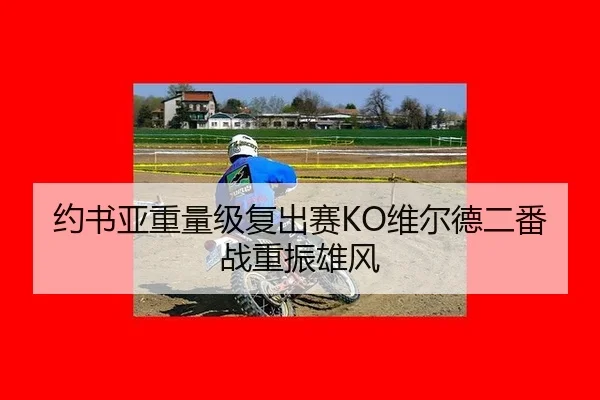 约书亚重量级复出赛KO维尔德二番战重振雄风